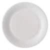100 Grandes Assiettes Biodégradables - 23 cm