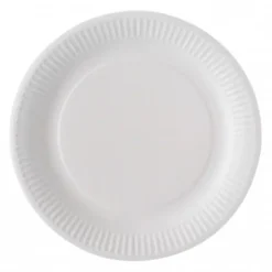 100 Grandes Assiettes Biodégradables - 23 cm