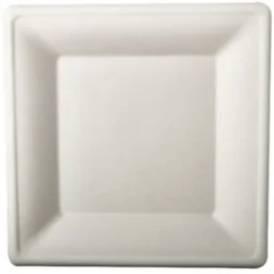 50 Grandes Assiettes Carrées en Canne à Sucre - Blanc