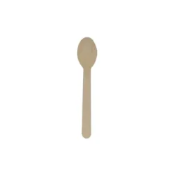 50 Grandes Cuillères en Bois Biodégradables - 160 mm