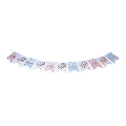 Guirlande de 11 Fanions - Gender Reveal - Fille ou Garçon ?