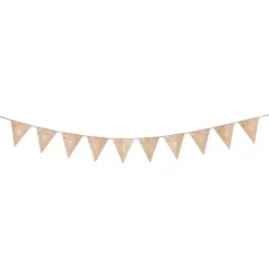 Guirlande de 10 fanions multicolores avec dorure pour anniversaire - 3 m - Âge au choix