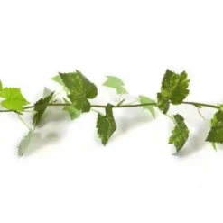 Guirlande Feuilles de Vigne - 140 cm