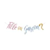 Guirlande 2.5 M - Gender Reveal - Fille ou Garçon ?