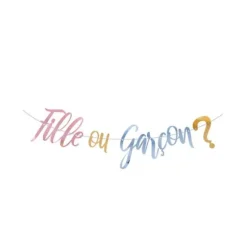 Guirlande 2.5 M - Gender Reveal - Fille ou Garçon ?
