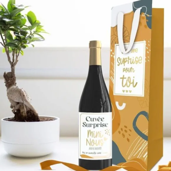 Kit Bouteille Annonce - Cuvée Surprise Mini Nous - Collection Annonce de Grossesse