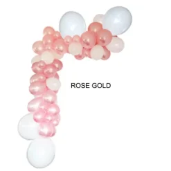 Kit Guirlande de 50 Ballons Organiques de 5 mètres - Couleur au Choix