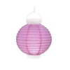 Lampion Lumineux 20 cm - Parme