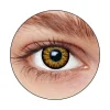 Lentilles "London" Hazel (sans correction)