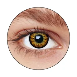Lentilles "London" Hazel (sans correction)
