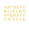 48 Lettres en carton avec adhésif - Couleur au choix