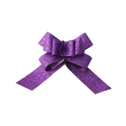 Lot de 2 nœuds automatiques pailletés - Prune