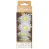 18 marguerites blanches en azyme pour pâtisseries