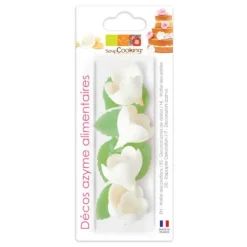 18 marguerites blanches en azyme pour pâtisseries