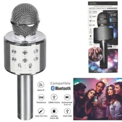 Micro Enceinte Karaoké