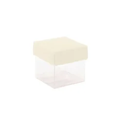 Mini cubes à dragées fond transparent x10 - Coloris au choix