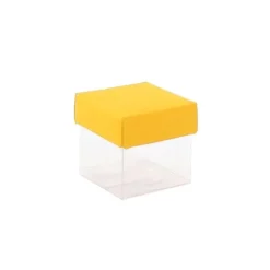 Mini cubes à dragées fond transparent x10 - Coloris au choix