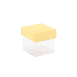 Mini cubes à dragées fond transparent x10 - Coloris au choix