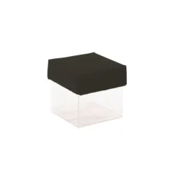 Mini cubes à dragées fond transparent x10 - Coloris au choix