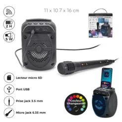 Mini Enceinte Karaoké sans fil avec micro