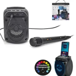 Mini Enceinte Karaoké sans fil avec micro