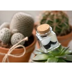 Mini Pot Carré avec Bouchon en Liège