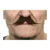 Moustache "Petit Dandy" - Brun
