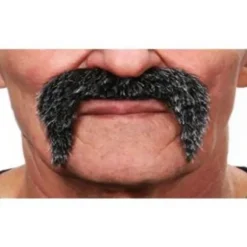 Moustache Poivre et Sel