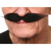 Moustache "Polonais" - Noir