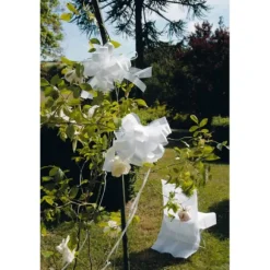 5 Noeuds automatiques en tulle - Blanc