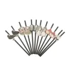 12 Pailles Médaillon en carton - Cabinet de Curiosité