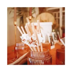 12 pailles médaillon en carton - Collection Coachella