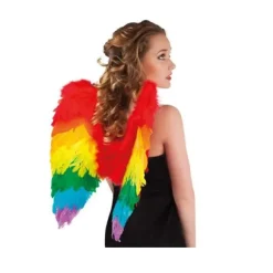 Paire d'ailes - Arc en ciel