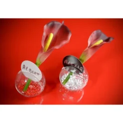 300 Perles de pluie - Transparent
