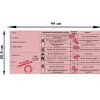 Permis de la 60 aine