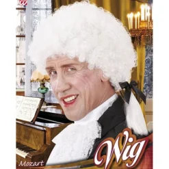 Perruque Mozart Homme