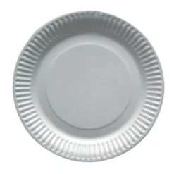 100 Petites Assiettes Biodégradables - 18 cm