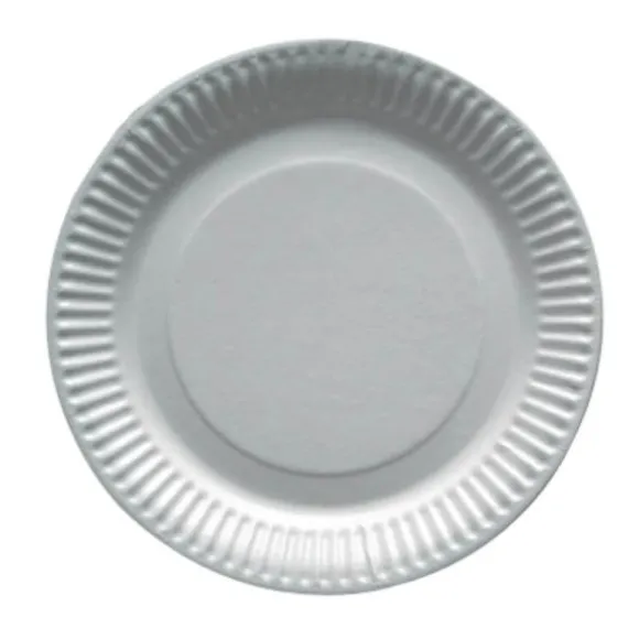 100 Petites Assiettes Biodégradables - 18 cm