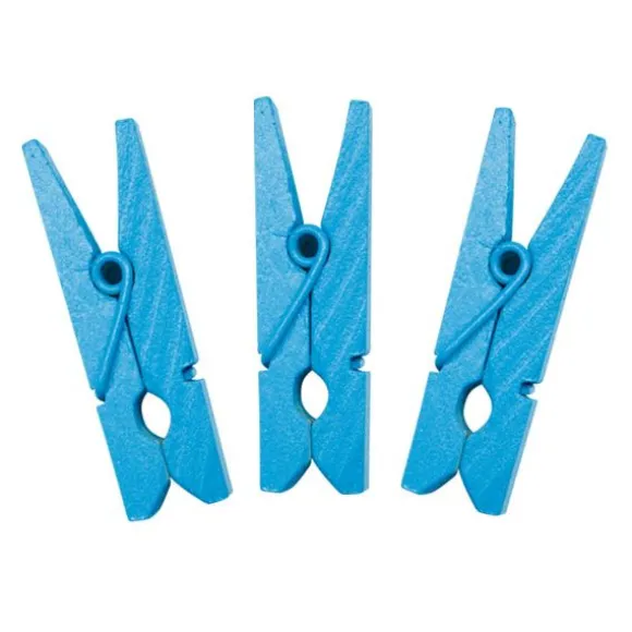 12 Petites Pinces en Bois - Turquoise