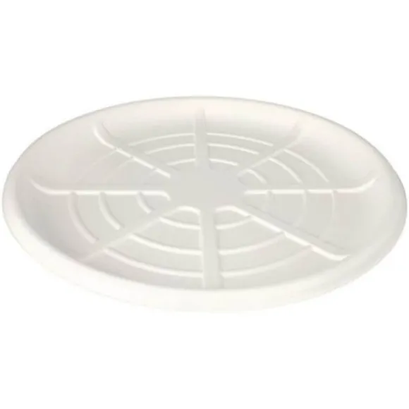 25 plateaux en canne à sucre pure pour fruits de mer - Diamètre 47 cm