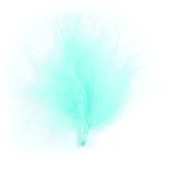 20 Plumes Bleu Ciel
