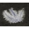 20 Plumes Décoratives - Gris
