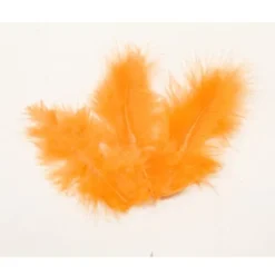 20 Plumes Décoratives - Orange