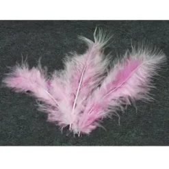 20 Plumes Décoratives - Rose