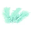 20 Plumes Décoratives - Vert d'Eau