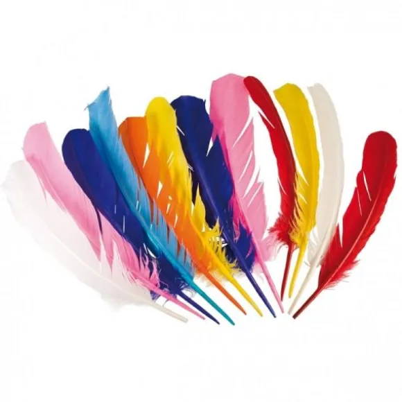 12 Plumes d'Indien Multicolore - 30 cm