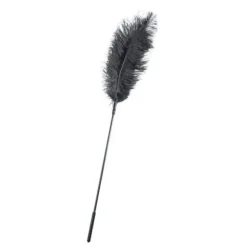 Plume Sensuelle