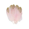 6 Plumes Ethniques Rose - Paillettes Or