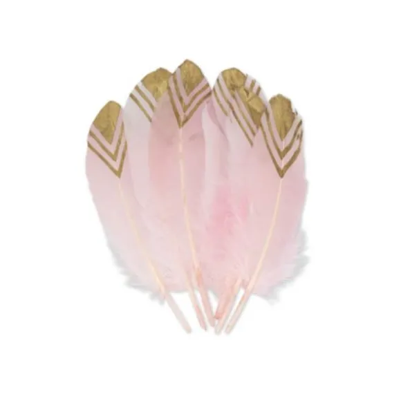 6 Plumes Ethniques Rose - Paillettes Or