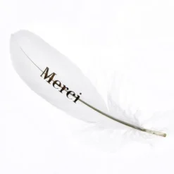6 Plumes Merci - Or
